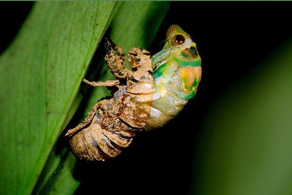 秒懂 手把手教你辨别小吃培训学校的各种骗局